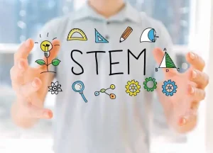 stem