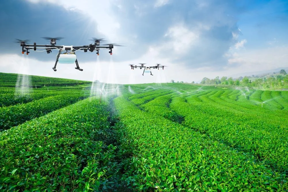 drone, kinh tế tầm thấp